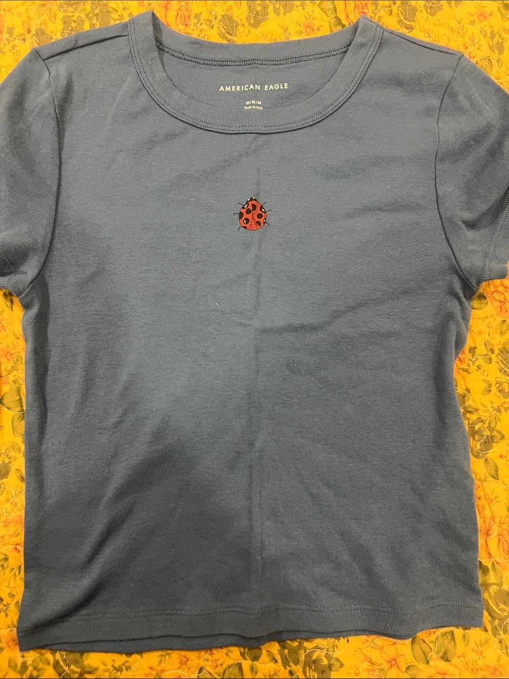 American Eagle Outfitters Kids Blue Tee with Red Ladybug Embroidery